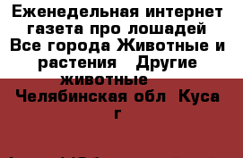 Еженедельная интернет - газета про лошадей - Все города Животные и растения » Другие животные   . Челябинская обл.,Куса г.